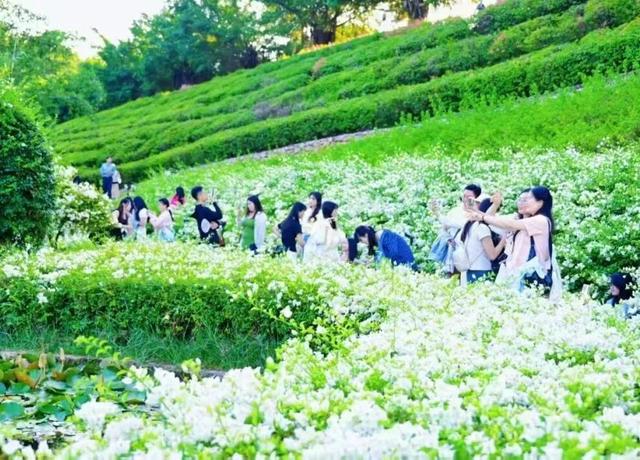 冬日暖游南宁环大明山寻味之旅，暖意美食与奇景相伴！