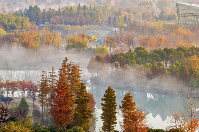 南通这里又要火了！每天清晨，不少人赶去打卡