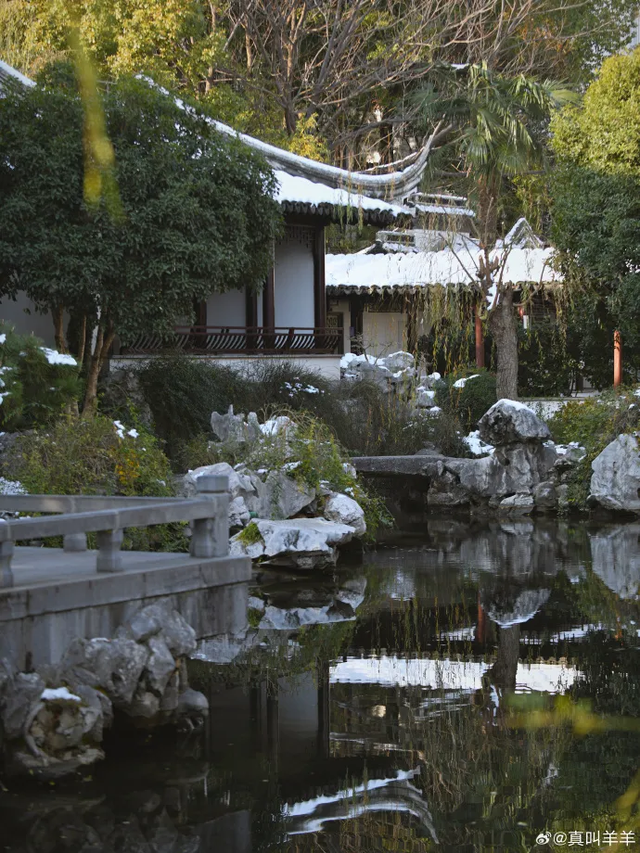 这个元旦假期，把时光“浪费”在秦淮最美的园子里~