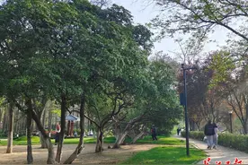 踏青遭蜱虫叮咬千万别“硬拔”，户外活动尽量避免穿短袖短裙图片