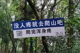 “没人疼就去爬山，爬完浑身疼！”网友：杀人诛心指路牌图片