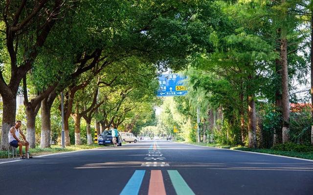 无锡这些农村公路，藏着最惬意的清凉