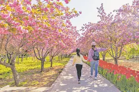 赏花游持续升温图片