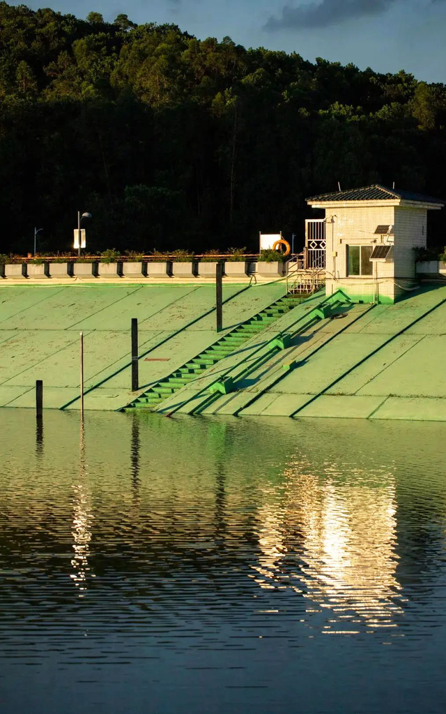 没人觉得龙岗的能量场很高吗？