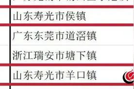 2024全国综合实力千强镇发布，潍坊市6镇上榜！图片