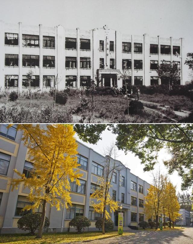 寻找照片中的TA·抗战胜利80周年丨“我永远记得80年前走出集中营的那天”