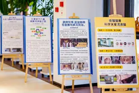 城市流浪猫如何治理？上海基层社区探索数字经验图片