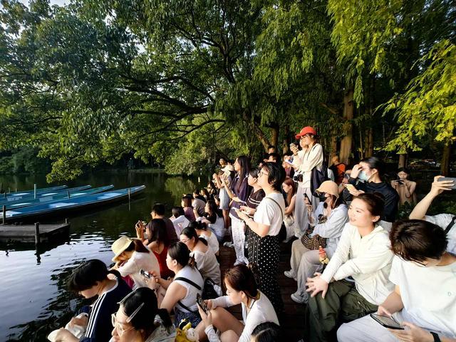 晚潮｜西湖边的一束光，何以引无数人前往？