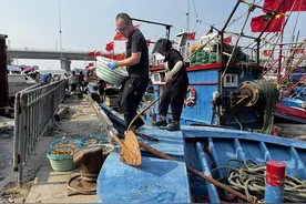 开海首批渔船满载归！市民争购北塘海鲜“第一网”图片