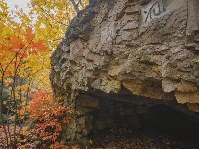 博物风情 | 在周口店遗址，遇见课本之外的历史