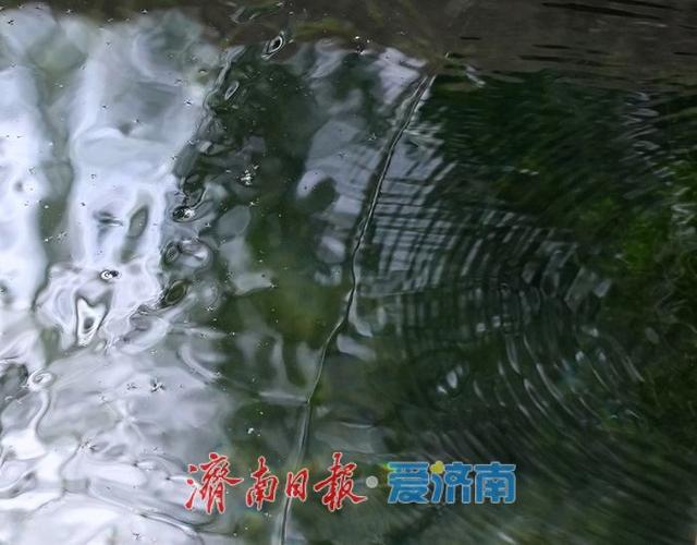 济南“金线奇观”再现
