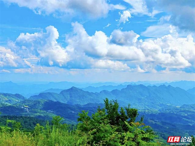 欢庆时刻丨闯入山水画卷，桑植梯田的四季之美