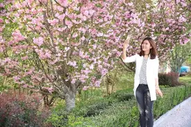 春天来泰山区，这份赏花攻略一定要收好！图片