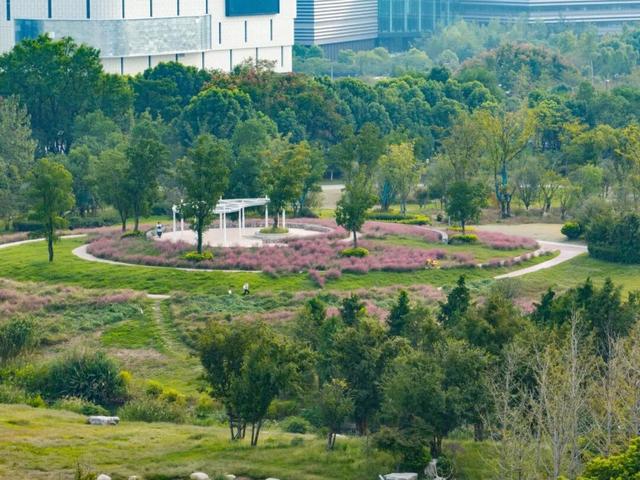 突破18亿！“真实版”就在南京