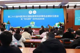 第二十六届中国（寿光）国际蔬菜科技博览会4月在山东寿光举行图片