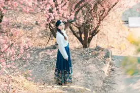 春日限定crush！邂逅黄陂“梅”好时光！图片