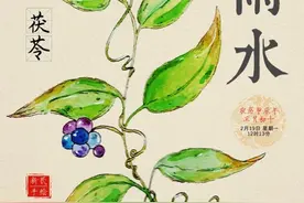 雨水｜春雨淅淅沥沥，去寒湿之邪，用它绝绝子！图片