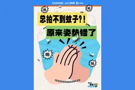今天，1秒打死蚊子！图片