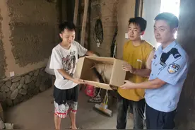 警民接力救助国家保护动物夜鹰图片
