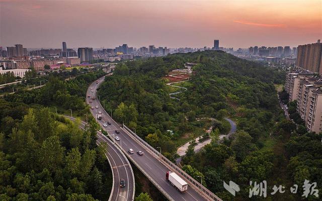 光谷黄龙山：有条山路十八弯的绿道