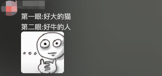 博主为猫咪打造专属地铁，网友：以为是AI，结果是手作？