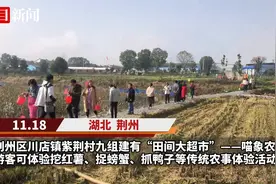 抓螃蟹、捉泥鳅、挖红薯……荆州喵象农场沉浸式农事体验项目引爆周末游图片