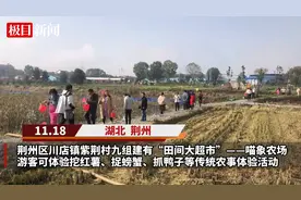 抓螃蟹、捉泥鳅、挖红薯……荆州喵象农场沉浸式农事体验项目引爆周末游图片