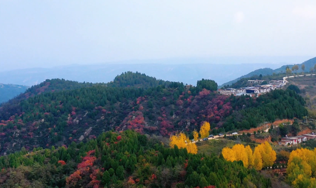 美绝！临潼初冬的含金量还在上升→