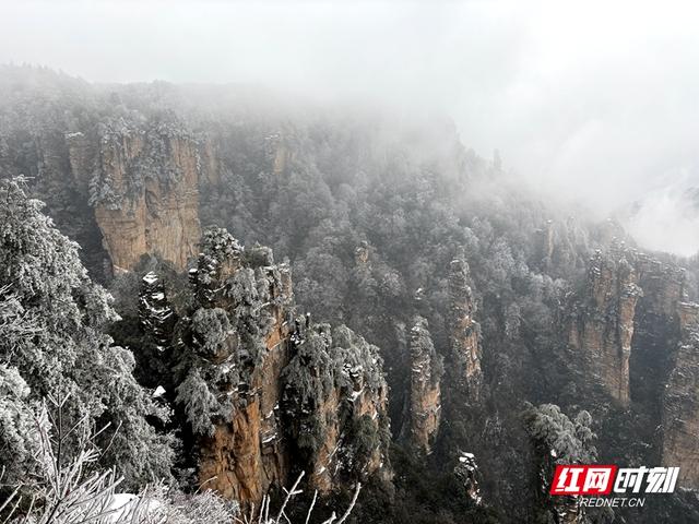 雪落奇峰！张家界把冬天绘成了水墨仙境