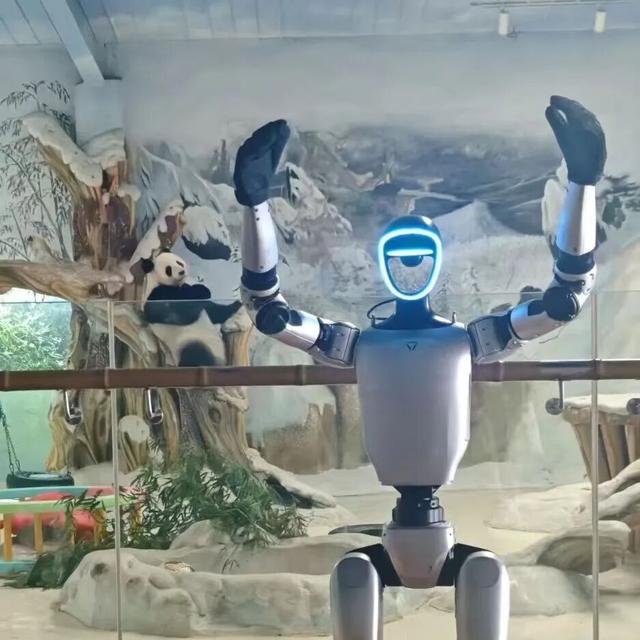 遛娃，走起！