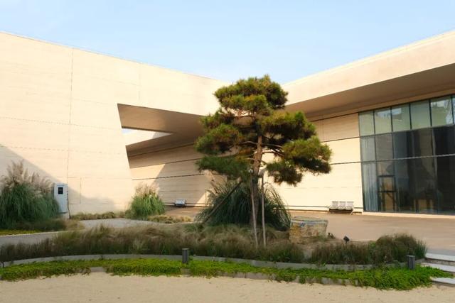 开放预约！大河村国家考古遗址公园即将开园