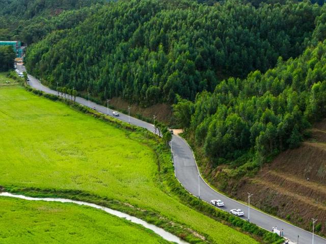 火热报名中｜2025年第三届凤城百里徒步活动来啦！