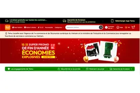 知情人士回应“Temu越南业务被暂停”传言，电商平台出海东南亚不易图片