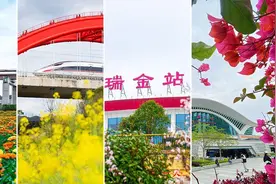 摇曳的花朵+飞驰的列车，邀你开启春日之旅！图片