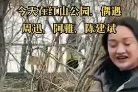 嗨！周迅、陈建斌 乌鲁木齐的小伙伴“很高兴认识你”图片