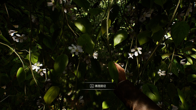 《夺宝奇兵：古老之圈》剧情图文流程全攻略