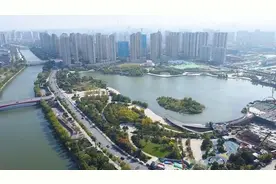 云锦湖实施水面“净化”，荷花芦苇水生植物被全部收割图片