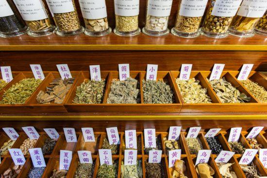 “果冻河”上线！朱家角6大景点“焕新升级”