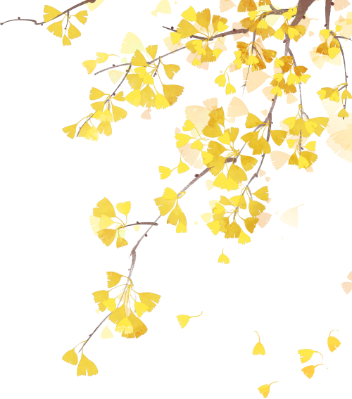 听，呼和浩特秋天的BGM正在你耳边播放