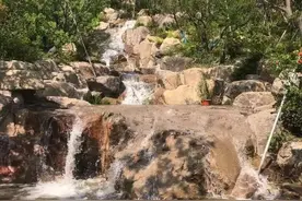 上海人期盼已久的双子山，终于可以去爬啦！还有亚洲最大温室花园，就在这天开启→图片