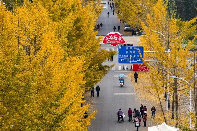 别再瞎找了！这张“黄金版图”全是惊喜