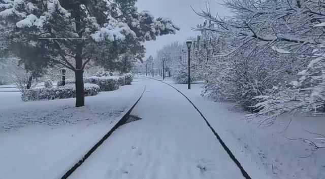 等一场雪，念一座城！敦化冬景如画