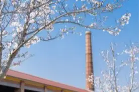 全国“四季村晚”在这座浦东滨海小镇举行，只因……图片