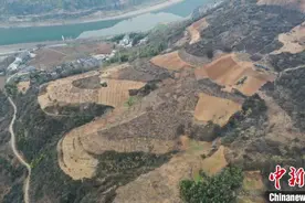 湖北新发现一遗址 实证古人类生存与生产发展图片