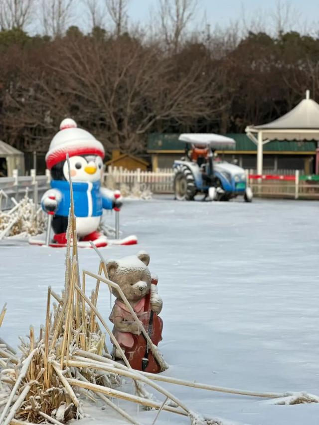 还去啥东北 金山就有“冰雪大世界”！
