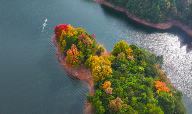 我在这里，等你→