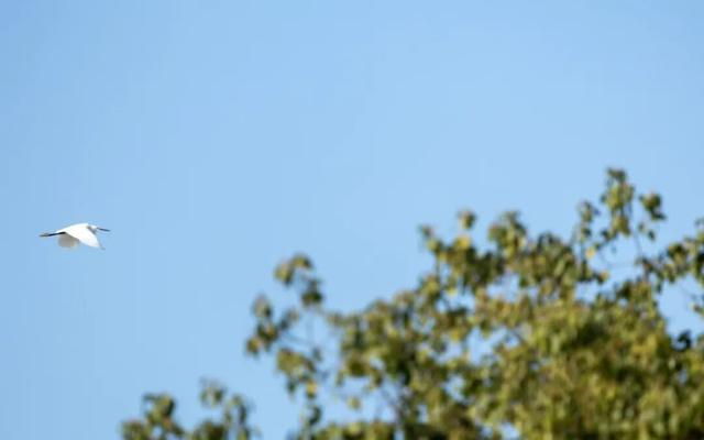 美翻了！南湖，正是红橙黄绿时