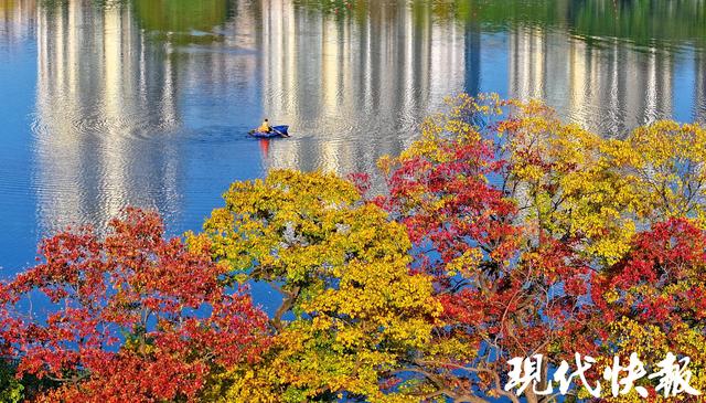 立冬遇秋浓，Citywalk解锁南京斑斓色
