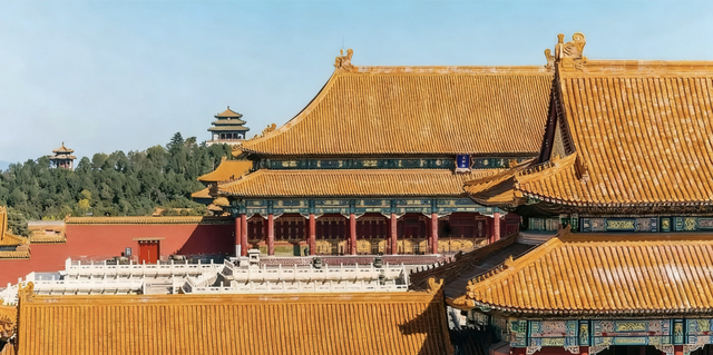 火了600年的真顶流，迎来了“百岁生日”