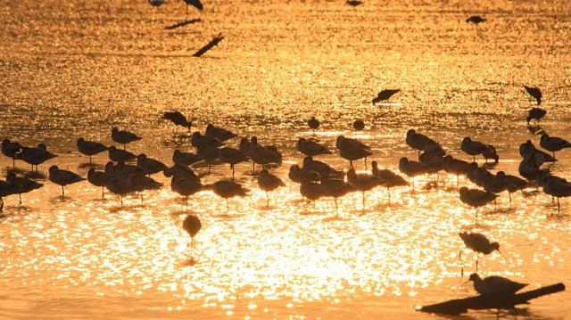 跟着五月天到南沙开启“最好的一天”！